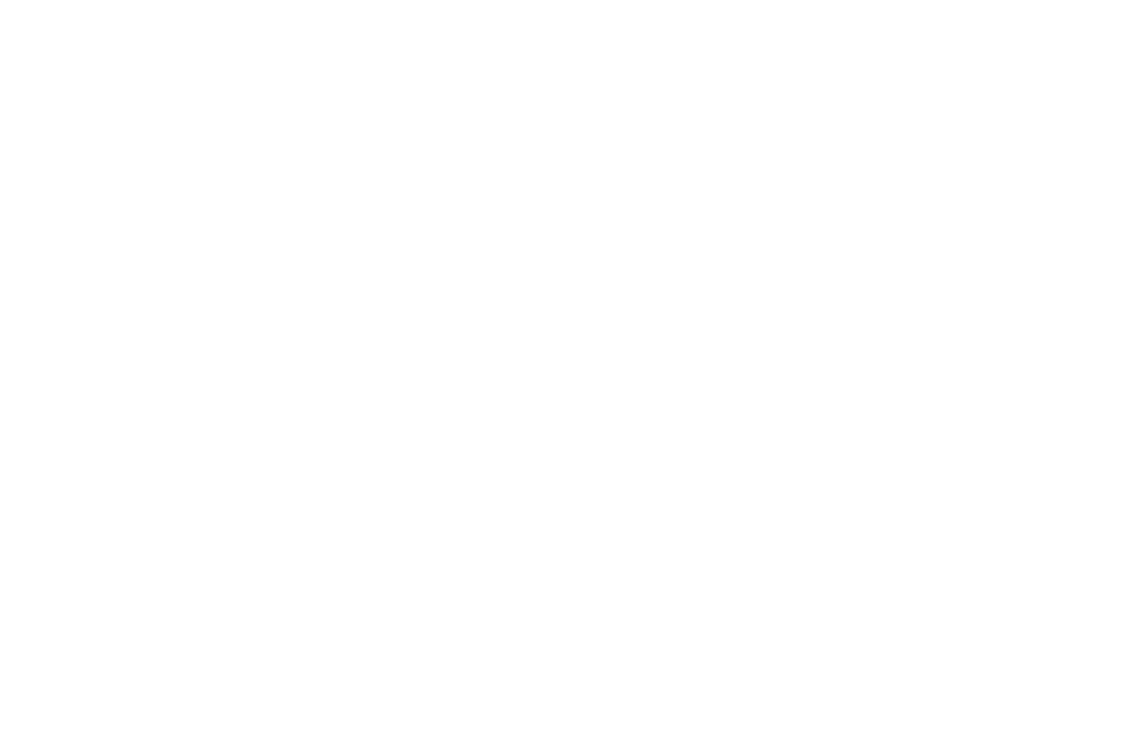 Official Selection Heartland International Film Festival 2019