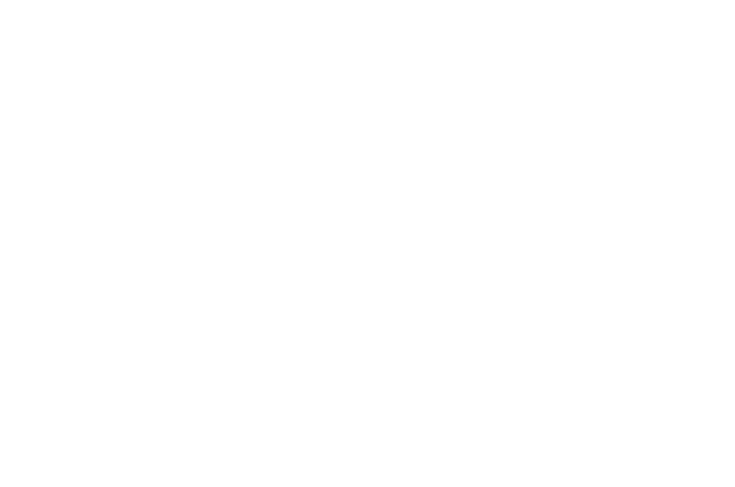 Official Selection Nashville Film Festival 2019 laurel