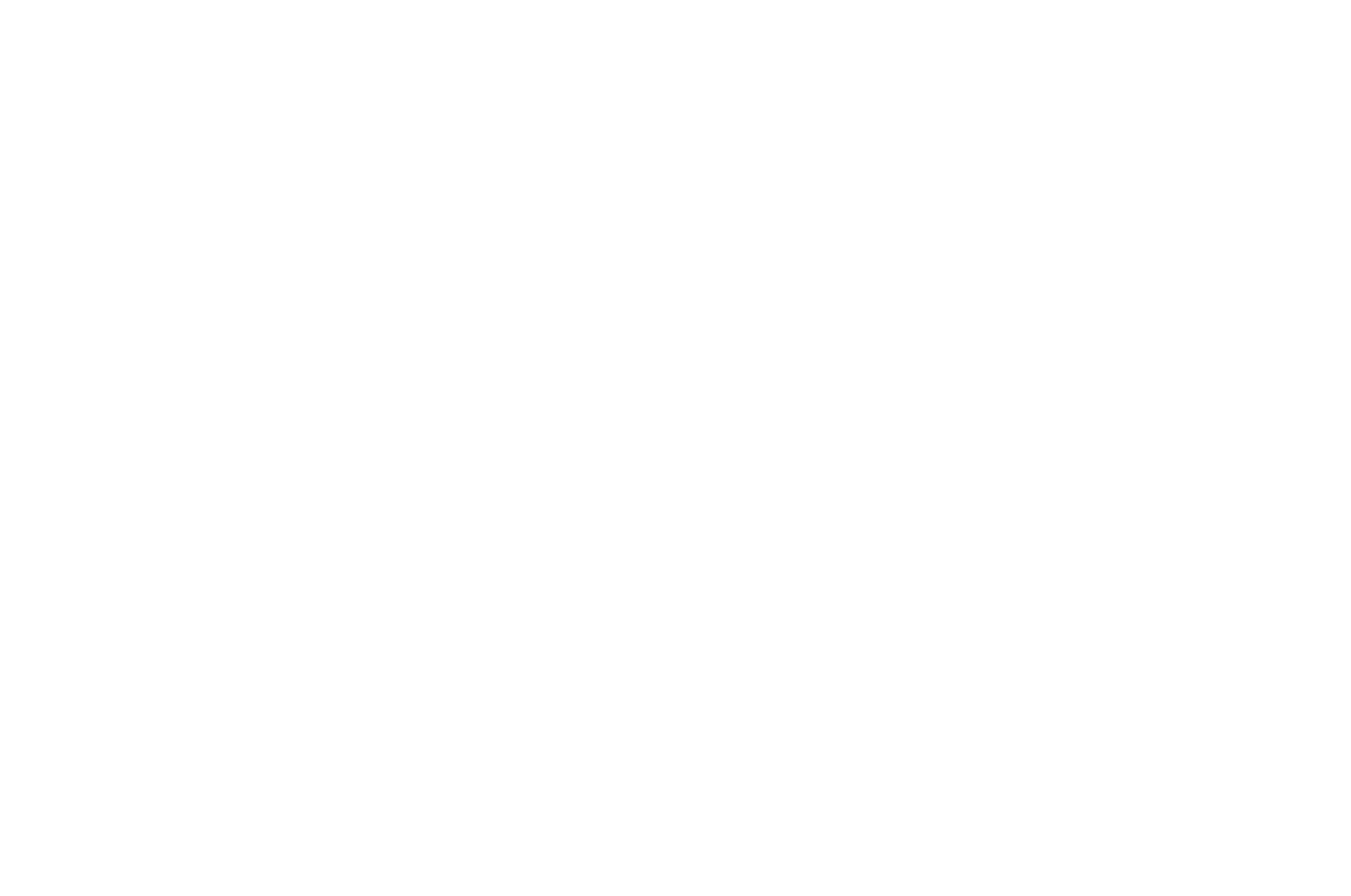 Best Feature Film DRIFF International Film Festival 2019 laurel